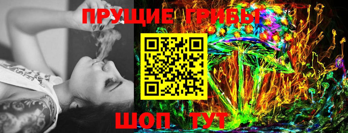 наркошоп  Псилоцибиновые грибы мицелий  Вход с VPN  Псилоцибиновые грибы Magic Shrooms  Камышин 