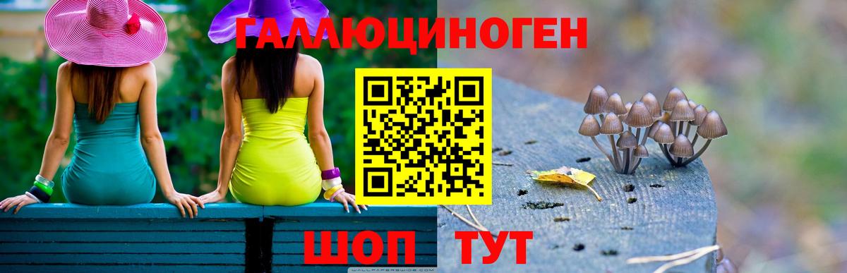 Псилоцибиновые грибы GOLDEN TEACHER Камышин